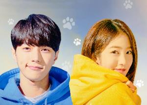 A feline-human duo will make Zing’s Hallyu slot irresistible! Watch out for the premiere of ‘Meow The Secret Boy