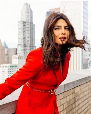 Global superstar Priyanka Chopra Jonas set to bring more South Asian representation to Hollywood