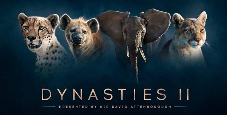 Dynasties 2 review: A gripping look at the lives of the remarkable wild animals