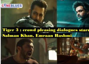 Tiger 3 : crowd pleasing dialogues starring Salman Khan, Emraan Hashmi