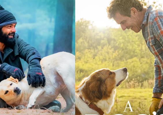 777 Charlie and 10 films that showed heartfelt relationship between human and dog   