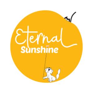 Eternal Sunshine Productions poster
