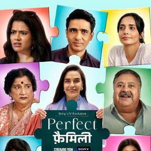 Perfect Family poster