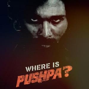 Pushpa 2: The Rule poster