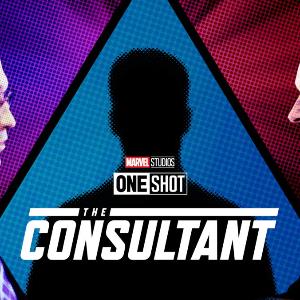 The Consultant poster